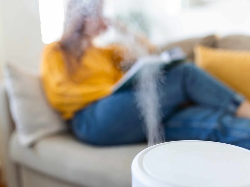 como mejorar la calidad del aire en casa